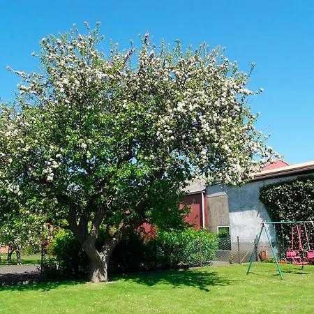 Manowski Nr2 *
